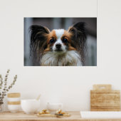 Cute papillon hond poster (Keuken)
