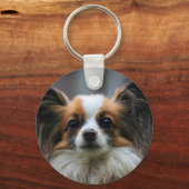 Cute papillon hond sleutelhanger (Voorkant)
