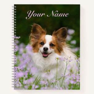 Cute Papillon Spaniel Head Photo Hondenliefhebbers Notitieboek