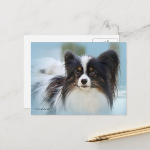 Cute Papillon Speelgoed Spaniel Dog aan de Dock Briefkaart