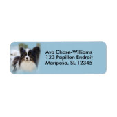 Cute Papillon Speelgoed Spaniel Dog aan de Dock Etiket (Voorkant)