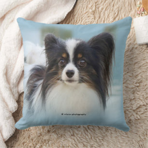 Cute Papillon Speelgoed Spaniel Dog aan de Dock Kussen