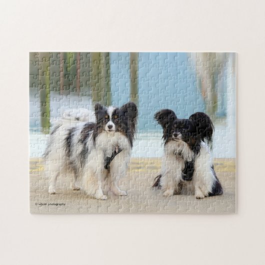 Cute Papillon Speelgoed Spanjaarden Honden in het Legpuzzel (Horizontaal)
