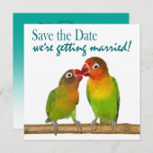 Cute Parrot Tortelduifjes Tropical Save the Date (Voorkant / Achterkant)