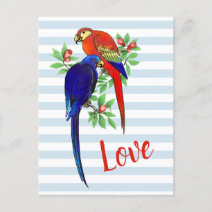 Cute Parrots in Love Blue Red Colorful Briefkaart