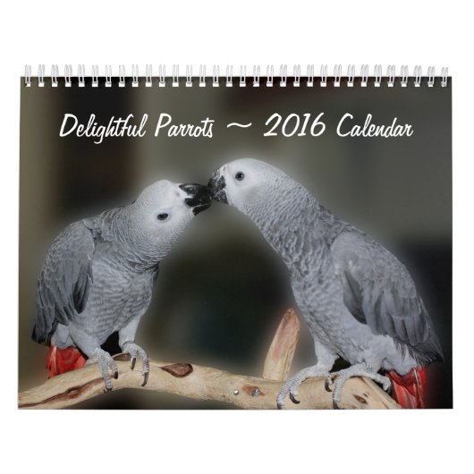 Cute Parrots Kalender (Hoes)