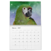Cute Parrots Kalender (Feb 2027)