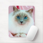 Cute Pedigree Cat. Muismat (Met muis)