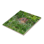 Cute Peeking Chipmunk Animal Tegeltje (Zijkant)