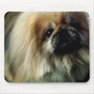 Cute Pekingese Muismat