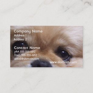 Cute Pekingese Puppy Visitekaartjes