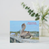 Cute Pelican Resing Briefkaart (Staand voorkant)