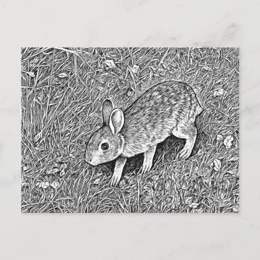 Cute pencil sketch bunny briefkaart (Voorkant)