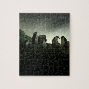 Cute Penguins Puzzle Legpuzzel