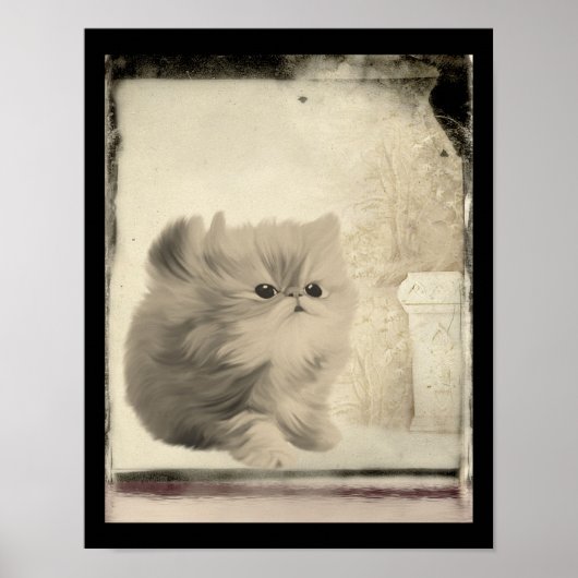 Cute Persian Kitten look Poster (Voorkant)