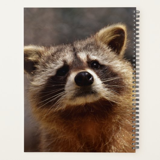 Cute Personalized Racoon Planner (Achterkant)