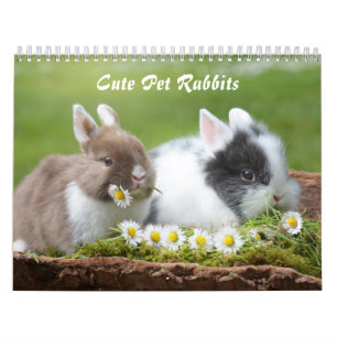 Cute Pet Bunny Rabbits Kalender