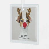 Cute Pet-kerstversiering Glas Ornament (Voorkant links)