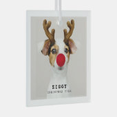 Cute Pet-kerstversiering Glas Ornament (Voorkant Rechts)