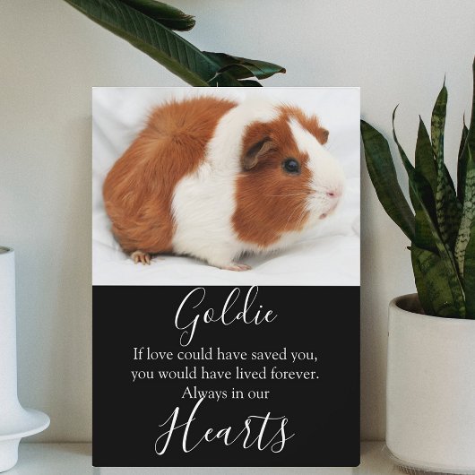 Cute Pet Memorial Fotoplaat