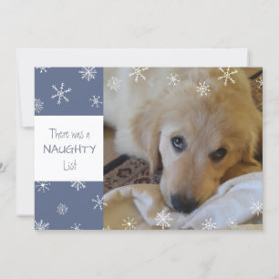 Cute Pet Naughty of Nice Snowflake Blue Feestdagenkaart