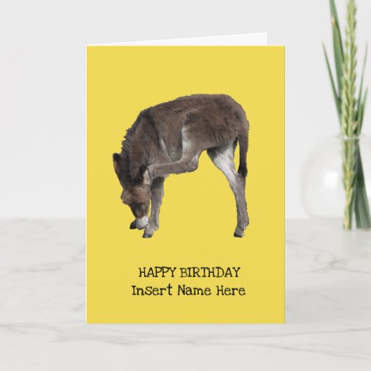 Cute Petit Âne Foie Écraser Modèle Oreille (Devant)