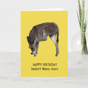 Cute Petit Âne Foie Écraser Modèle Oreille