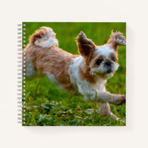 Cute Photo Running Shih Tzu Dog Notitieboek