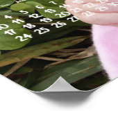 Cute Photo Yearly Calendar 2023 Poster (Coin)