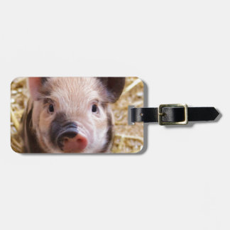 Cute Pic van een baby Pig Bagagelabel