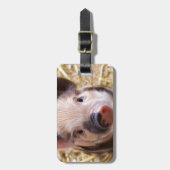 Cute Pic van een baby Pig Bagagelabel (Voorkant verticaal)