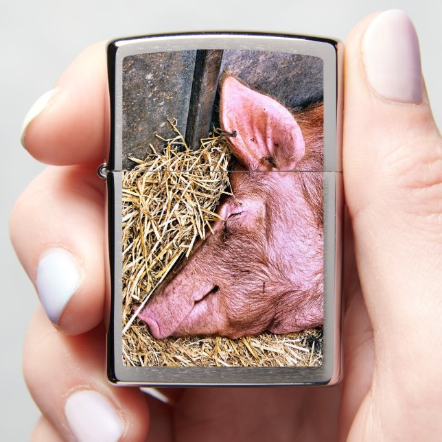 CUTE PIG (In Hand)