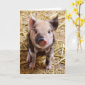 Cute Pig Birthday Card Kaart (Gele Bloem)