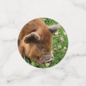 CUTE PIG CONFETTI (Kleine voorkant)