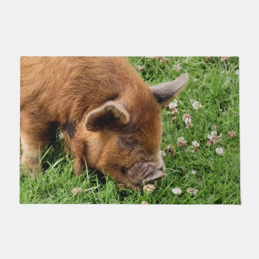 CUTE PIG DEURMAT (Voorkant)