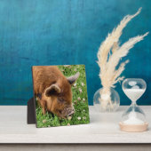 CUTE PIG FOTOPLAAT (Insitu)