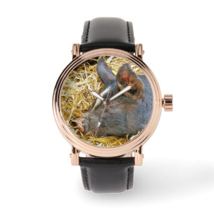 CUTE PIG HORLOGE