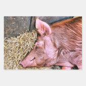 CUTE PIG INPAKPAPIER VEL (Voorkant 2)