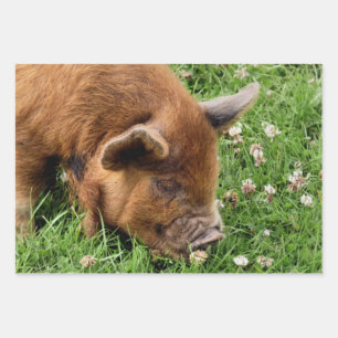 CUTE PIG INPAKPAPIER VEL