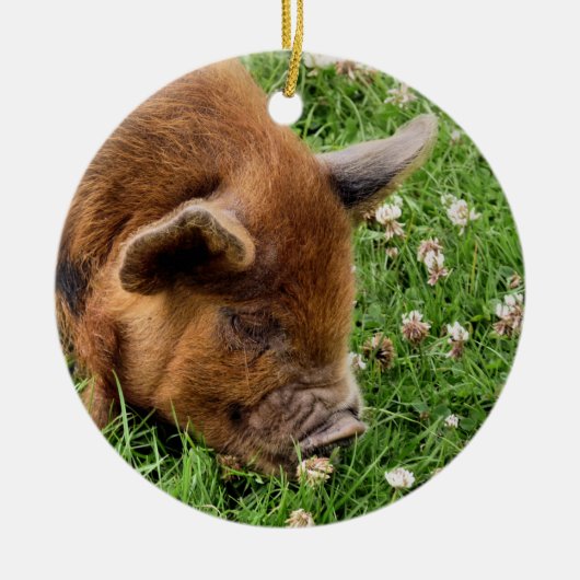 CUTE PIG KERAMISCH ORNAMENT (Voorkant)