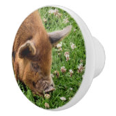 CUTE PIG KERAMISCHE KNOP (Rechts)