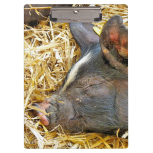 CUTE PIG KLEMBORD