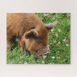 CUTE PIG LEGPUZZEL