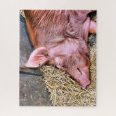 CUTE PIG LEGPUZZEL (Verticaal)