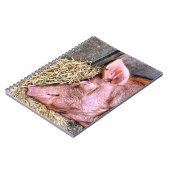 CUTE PIG NOTITIEBOEK (Linkerzijde)