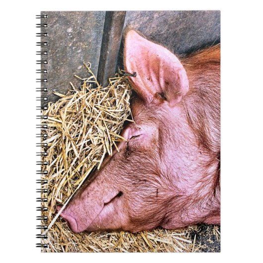 CUTE PIG NOTITIEBOEK (Voorkant)