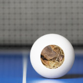 CUTE PIG PINGPONGBALLEN (Net)