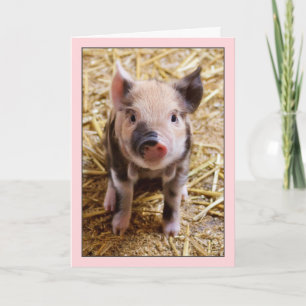 Cute Pig Pink Birthday Card Kaart
