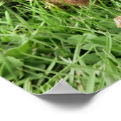 CUTE PIG POSTER (Hoek)