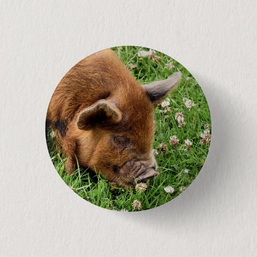 CUTE PIG RONDE BUTTON 3,2 CM (Voorkant)